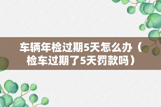 车辆年检过期5天怎么办（检车过期了5天罚款吗）