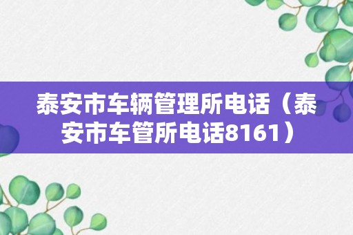 泰安市车辆管理所电话（泰安市车管所电话8161）