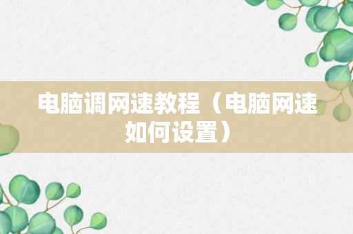 电脑调网速教程（电脑网速如何设置）