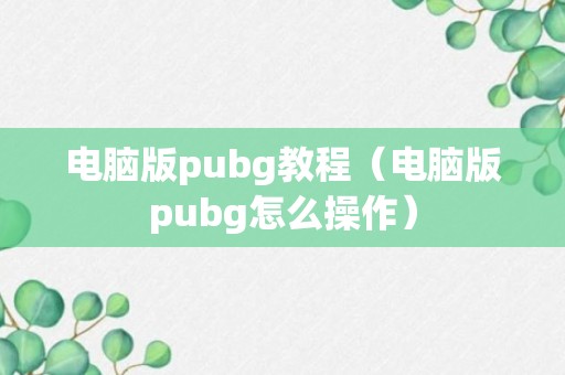 电脑版pubg教程（电脑版pubg怎么操作）