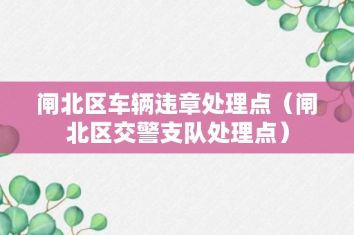 闸北区车辆违章处理点（闸北区交警支队处理点）