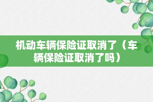 机动车辆保险证取消了（车辆保险证取消了吗）