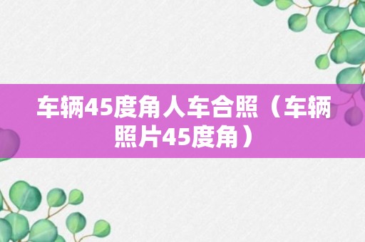 车辆45度角人车合照（车辆照片45度角）