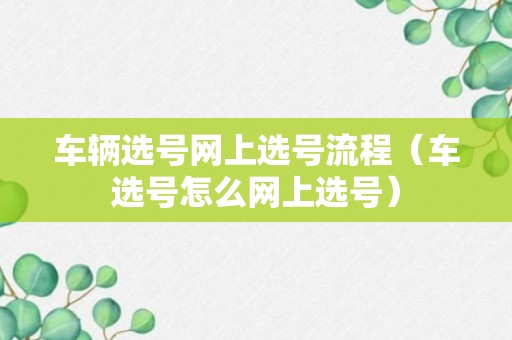 车辆选号网上选号流程（车选号怎么网上选号）