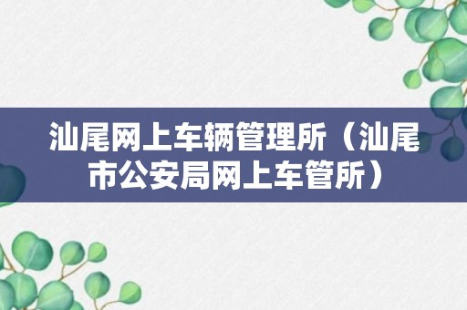 汕尾网上车辆管理所（汕尾市公安局网上车管所）