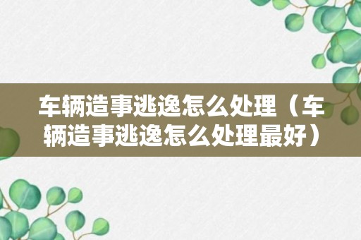 车辆造事逃逸怎么处理（车辆造事逃逸怎么处理最好）