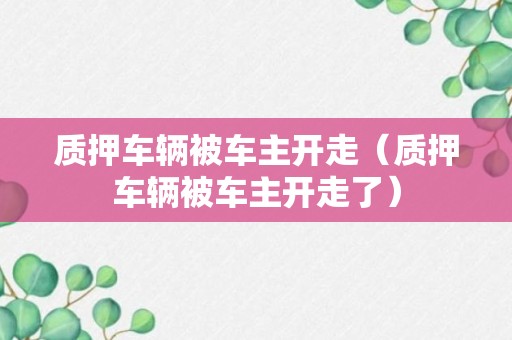 质押车辆被车主开走（质押车辆被车主开走了）