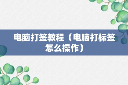 电脑打签教程（电脑打标签怎么操作）