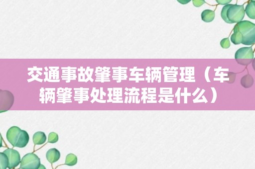 交通事故肇事车辆管理（车辆肇事处理流程是什么）