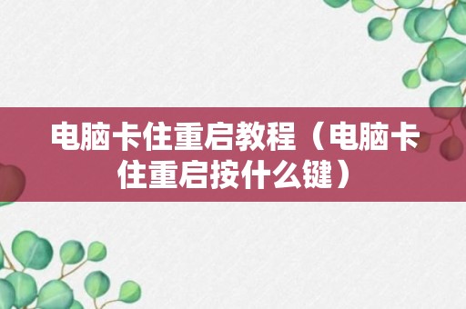 电脑卡住重启教程（电脑卡住重启按什么键）