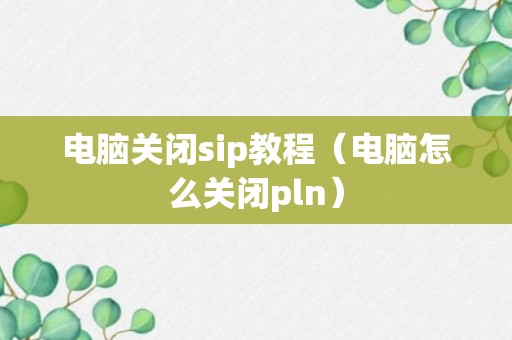 电脑关闭sip教程（电脑怎么关闭pln）