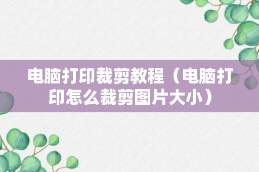 电脑打印裁剪教程（电脑打印怎么裁剪图片大小）