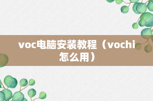 voc电脑安装教程（vochi怎么用）