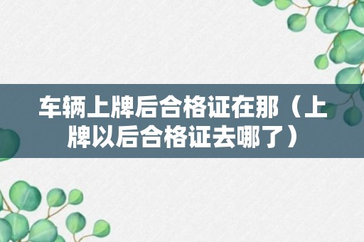 车辆上牌后合格证在那（上牌以后合格证去哪了）