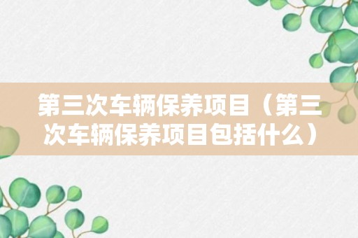 第三次车辆保养项目（第三次车辆保养项目包括什么）