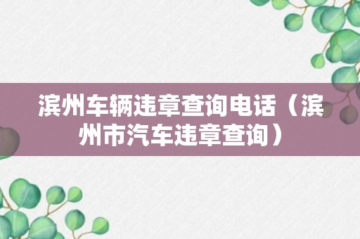 滨州车辆违章查询电话（滨州市汽车违章查询）