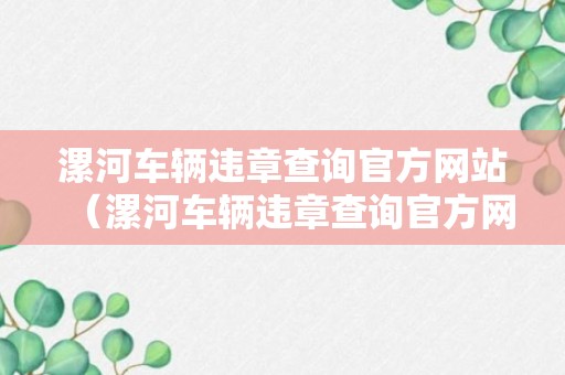 漯河车辆违章查询官方网站（漯河车辆违章查询官方网站电话）