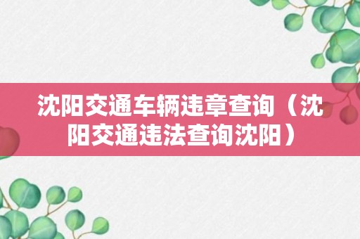 沈阳交通车辆违章查询（沈阳交通违法查询沈阳）