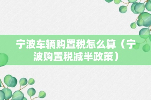 宁波车辆购置税怎么算（宁波购置税减半政策）