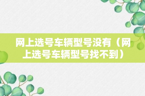 网上选号车辆型号没有（网上选号车辆型号找不到）