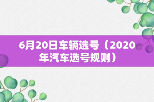 6月20日车辆选号（2020年汽车选号规则）