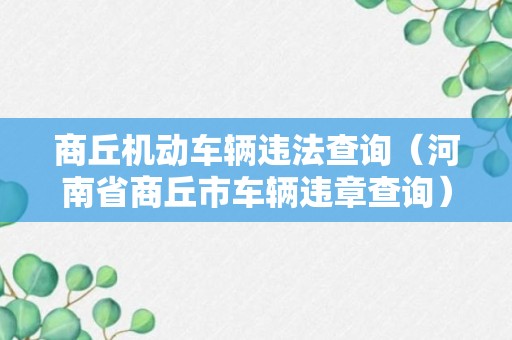 商丘机动车辆违法查询（河南省商丘市车辆违章查询）