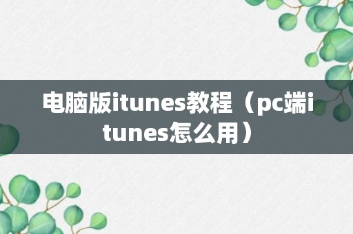 电脑版itunes教程（pc端itunes怎么用）