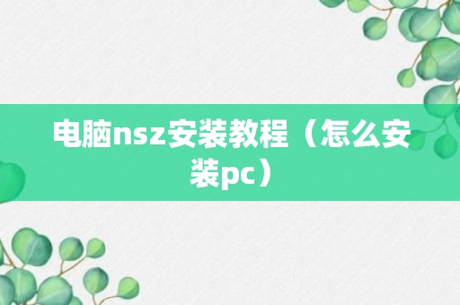 电脑nsz安装教程（怎么安装pc）