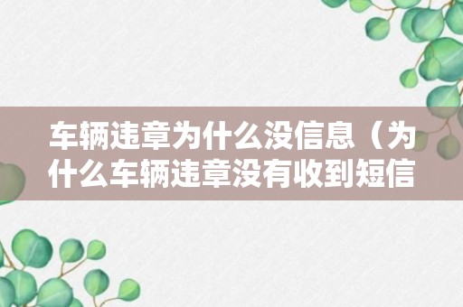 车辆违章为什么没信息（为什么车辆违章没有收到短信提醒）