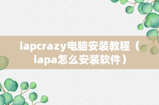 iapcrazy电脑安装教程（iapa怎么安装软件）