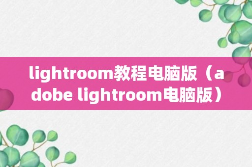 lightroom教程电脑版（adobe lightroom电脑版）