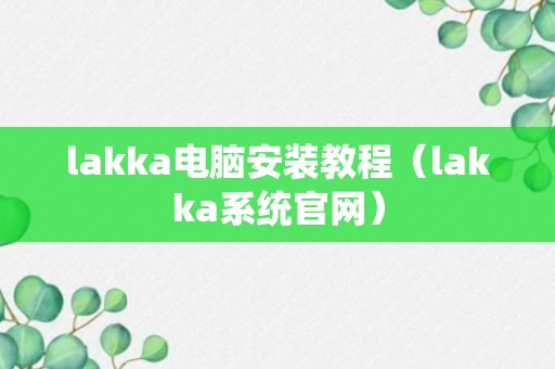 lakka电脑安装教程（lakka系统官网）