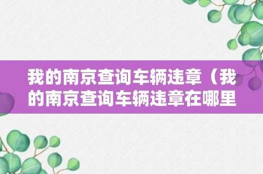 我的南京查询车辆违章（我的南京查询车辆违章在哪里查）