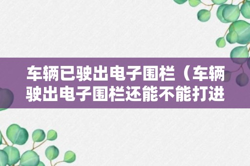 车辆已驶出电子围栏（车辆驶出电子围栏还能不能打进学时）