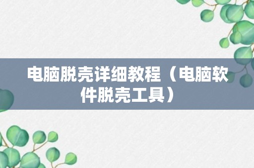 电脑脱壳详细教程（电脑软件脱壳工具）