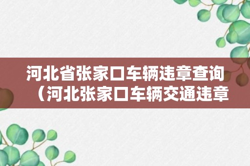 河北省张家口车辆违章查询（河北张家口车辆交通违章查询）