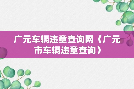 广元车辆违章查询网（广元市车辆违章查询）