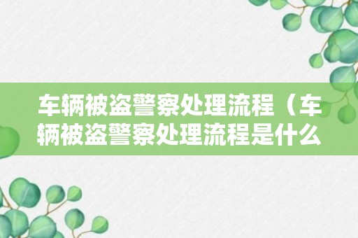 车辆被盗警察处理流程（车辆被盗警察处理流程是什么）