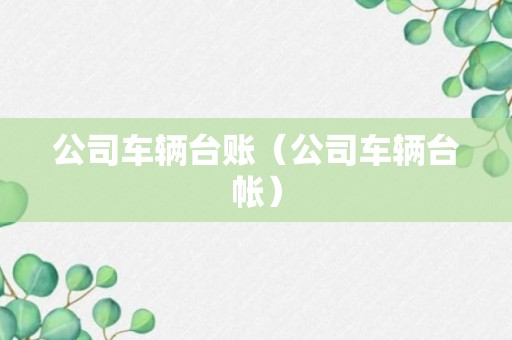 公司车辆台账（公司车辆台帐）