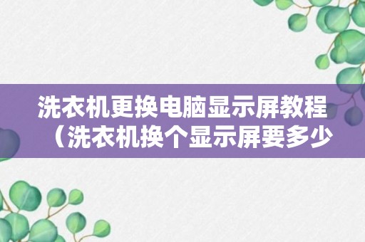 洗衣机更换电脑显示屏教程（洗衣机换个显示屏要多少钱）