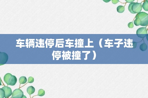 车辆违停后车撞上（车子违停被撞了）