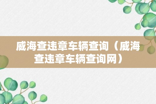 威海查违章车辆查询（威海查违章车辆查询网）