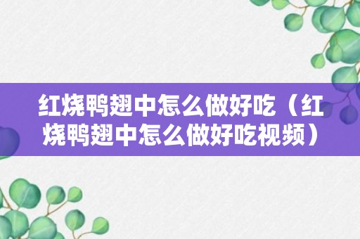 红烧鸭翅中怎么做好吃（红烧鸭翅中怎么做好吃视频）