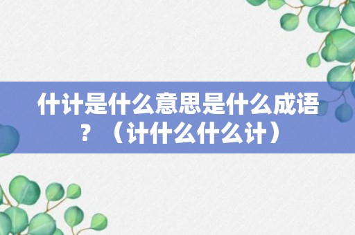 什计是什么意思是什么成语？（计什么什么计）