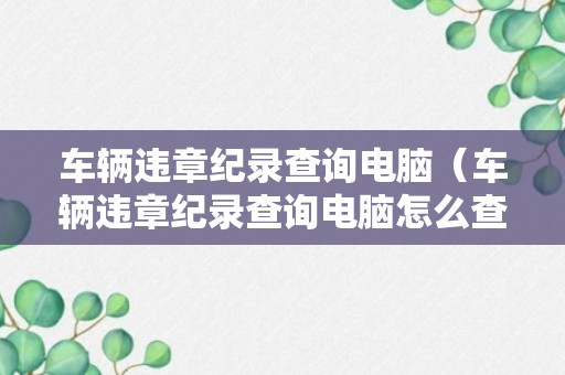 车辆违章纪录查询电脑（车辆违章纪录查询电脑怎么查）