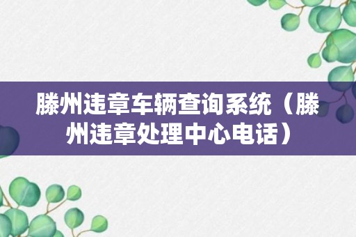 滕州违章车辆查询系统（滕州违章处理中心电话）