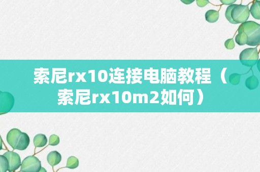 索尼rx10连接电脑教程（索尼rx10m2如何）