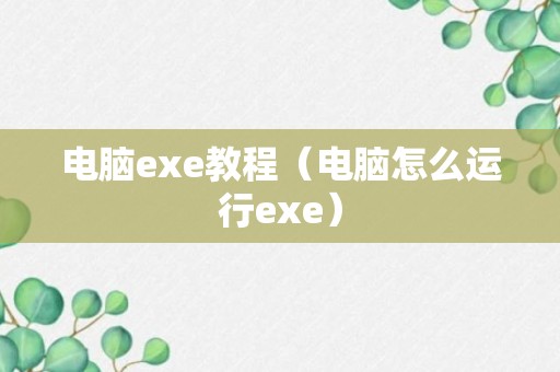 电脑exe教程（电脑怎么运行exe）