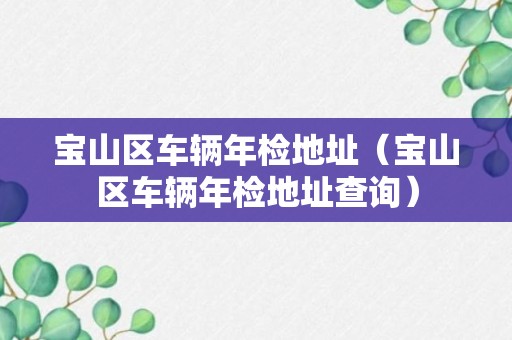 宝山区车辆年检地址（宝山区车辆年检地址查询）