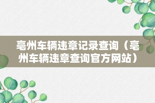 亳州车辆违章记录查询（亳州车辆违章查询官方网站）